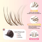 Natural Brown Lash Clusters with Thin Clear Band, Soft Wispy C Curl Lash Extensions, Most-Used Sizes for Daily Wear, Portable Pack, Budget-Friendly for Beginners, FayJoo AIRY 12 Brown Lite
